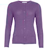 Paisley Purple
