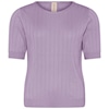 Violet Lilac